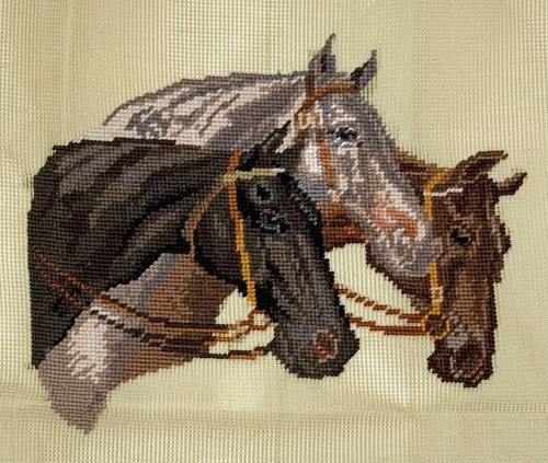 Tela punto ago cavallo
